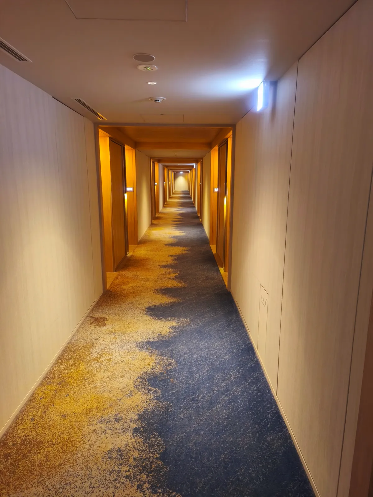 客室階の廊下