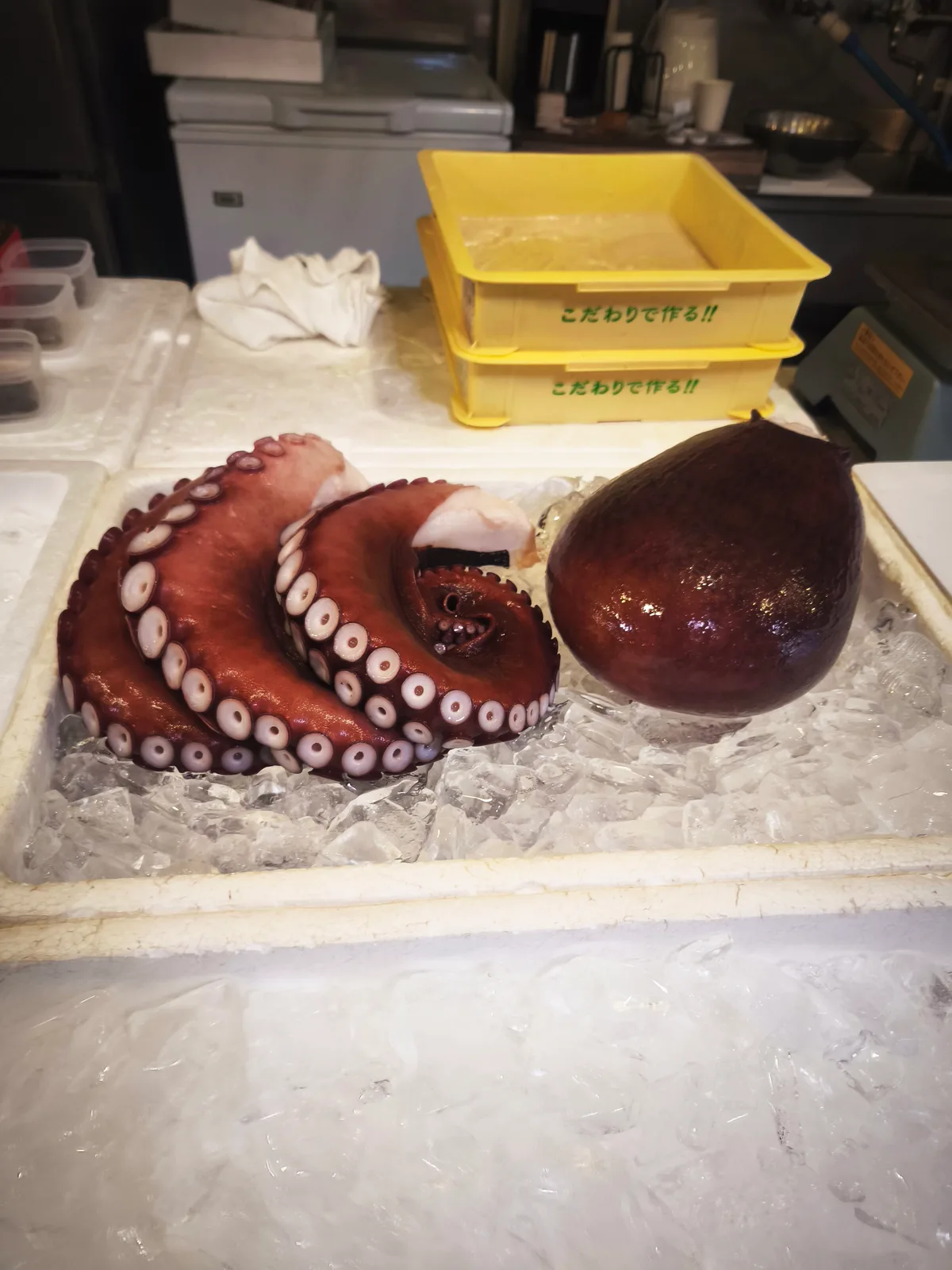 氷の上に置かれた、茹でたミズダコの足と頭